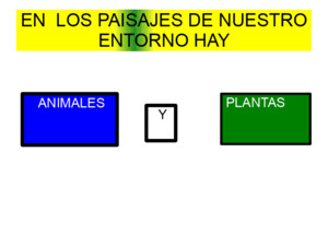 Presentación animales y plantas del entorno
